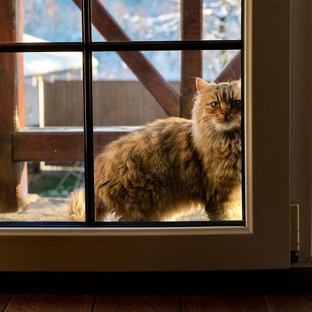 Мигово Гражда别墅 外观 照片